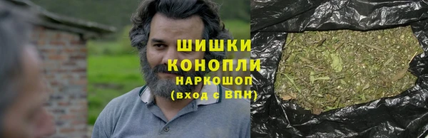 индика Белокуриха