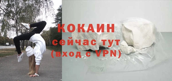 ГАЛЛЮЦИНОГЕННЫЕ ГРИБЫ Горняк