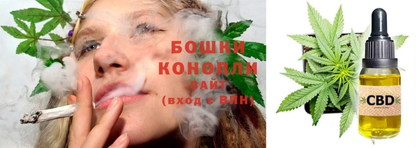 индика Белокуриха