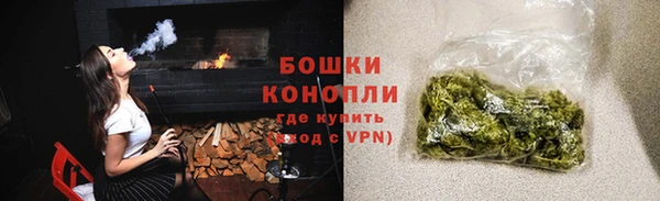 индика Белокуриха