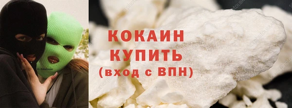 индика Белокуриха