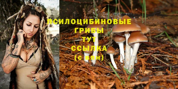 COCAINE Богданович