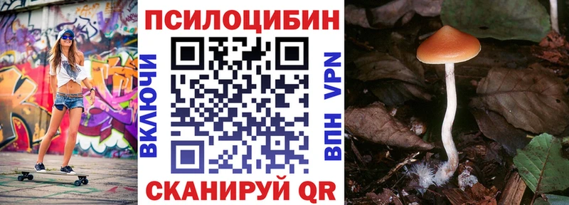 KRAKEN маркетплейс  как найти закладки  Малая Вишера  Псилоцибиновые грибы ЛСД 