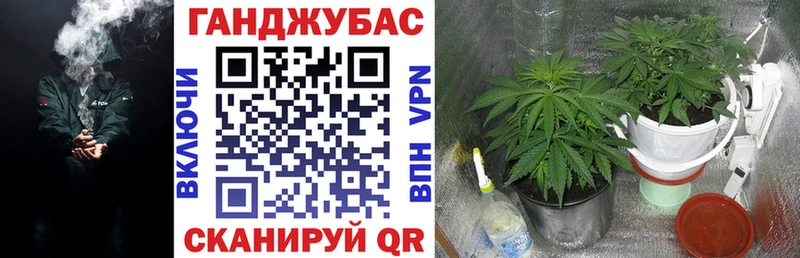 Бошки Шишки OG Kush  сколько стоит  Малая Вишера 